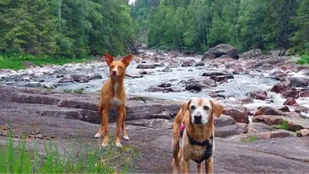 Item 2 - Groeten van Koning
van Port-Bail-sur-Mer