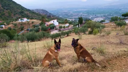 Item 3 - Groeten van Lizzy uit Nederland, Den Oever