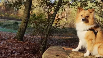Item 4 - Groetjes van Luke en Aura uit Zeewolde