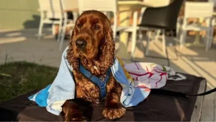 Item 8 - Groetjes van Belle vanuit Trend, Denemaken